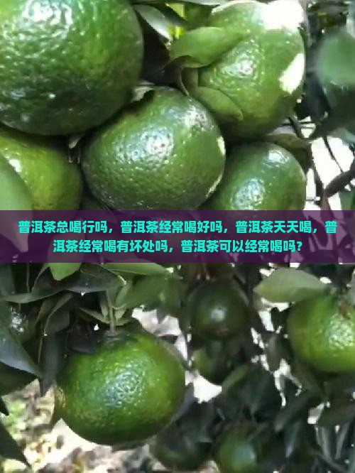 普洱茶总喝行吗