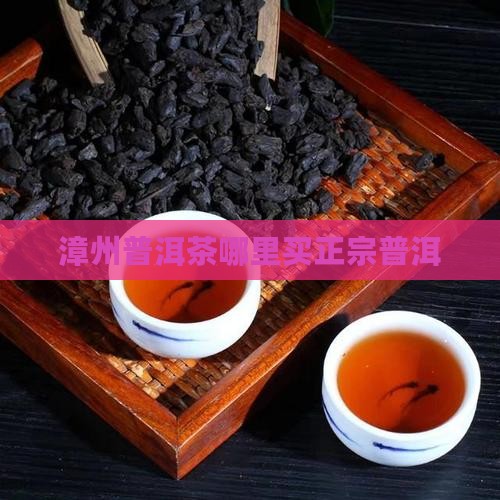 漳州普洱茶哪里买的正宗