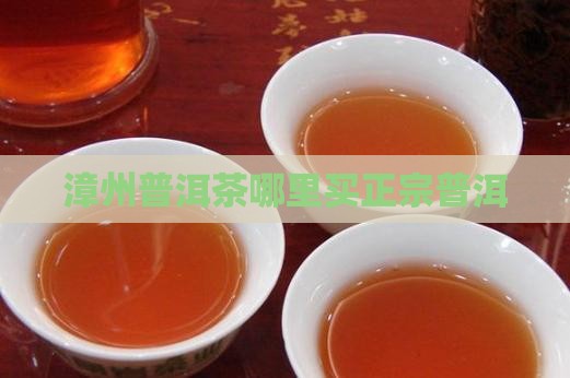 漳州普洱茶哪里买的正宗