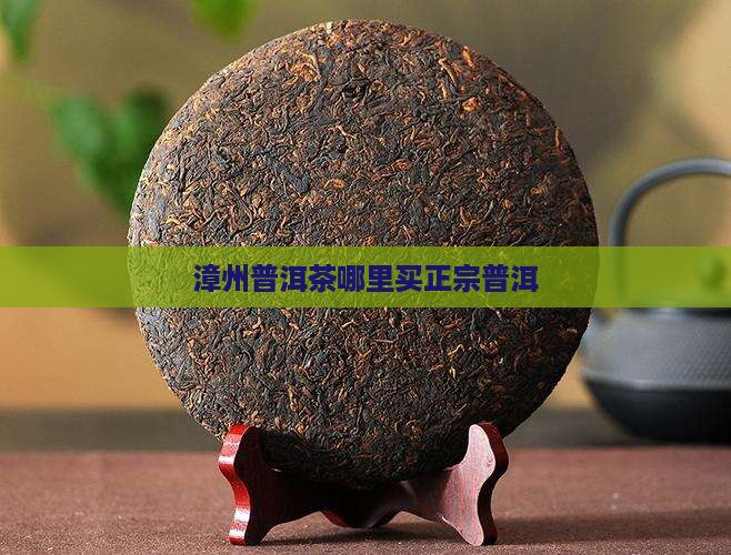 漳州普洱茶哪里买的正宗