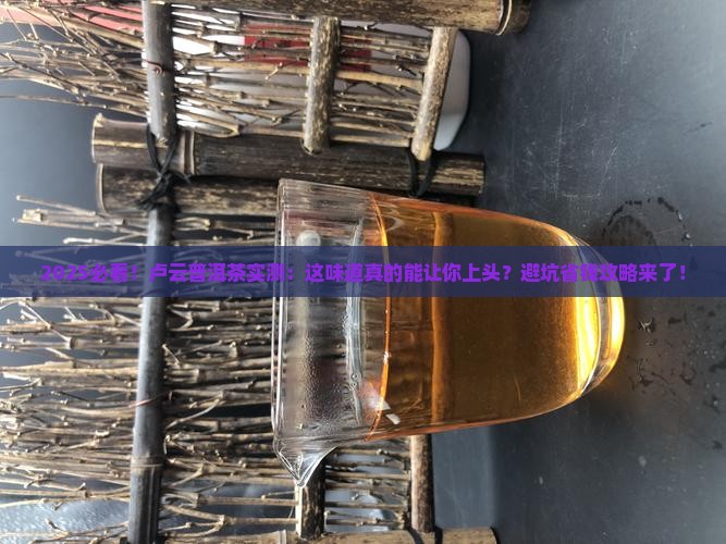 卢云普洱茶怎么样