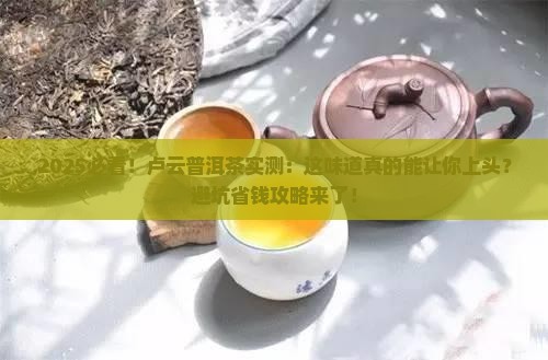 卢云普洱茶怎么样