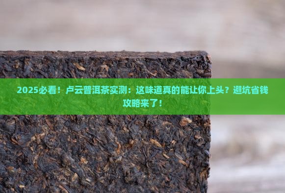 卢云普洱茶怎么样