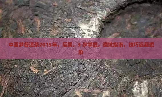 中国梦普洱茶2015年