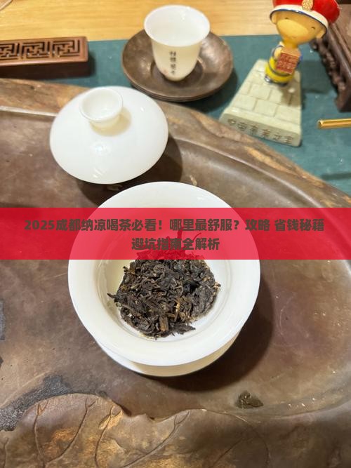 成都纳凉喝茶的地方