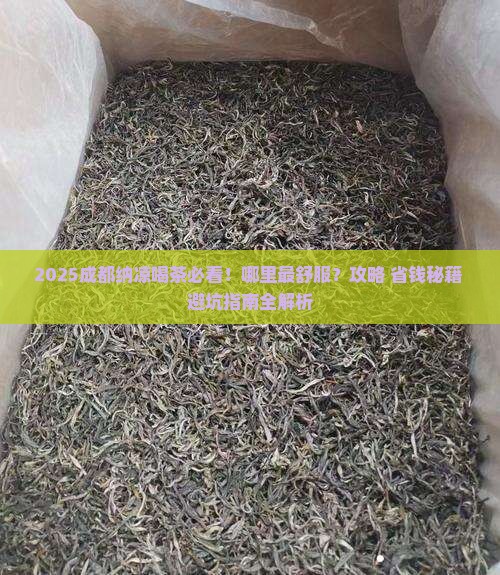 成都纳凉喝茶的地方