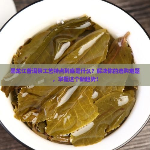 黑龙江普洱茶工艺特点是什么