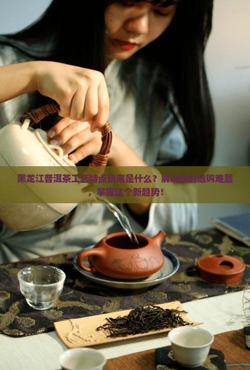 黑龙江普洱茶工艺特点是什么
