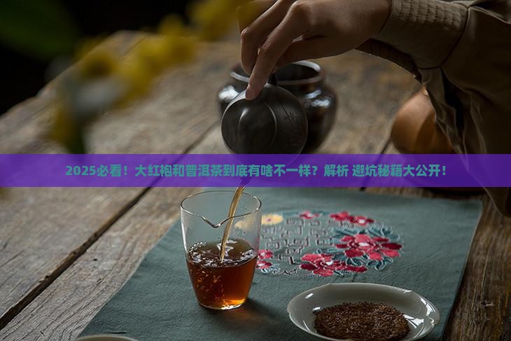 大红袍和普洱茶有什么不同