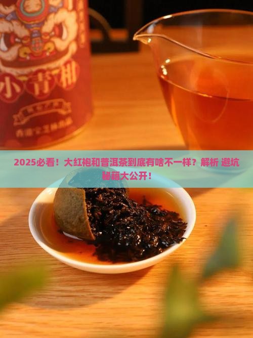 大红袍和普洱茶有什么不同