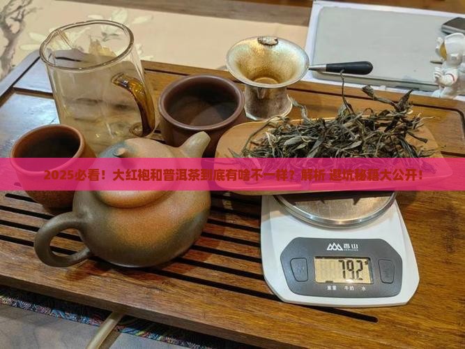 大红袍和普洱茶有什么不同