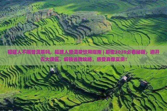 福建人不喝普洱茶吗