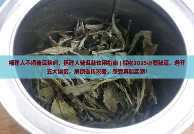 福建人不喝普洱茶吗