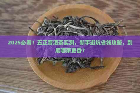 五正普洱茶品牌