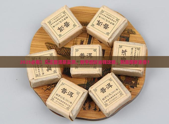 五正普洱茶品牌