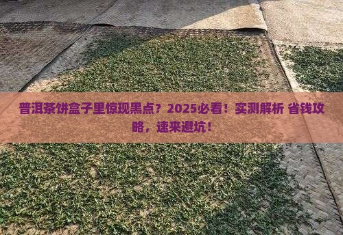 普洱茶饼存放盒子里面有黑点