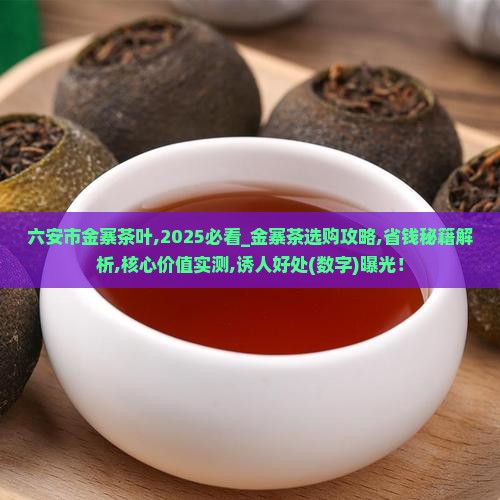 六安市金寨茶叶