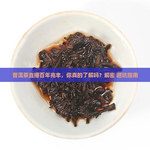 普洱茶直播百年兆丰