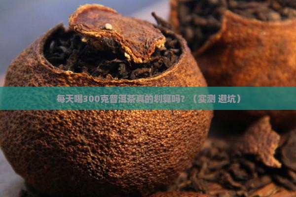 每年喝300克普洱茶