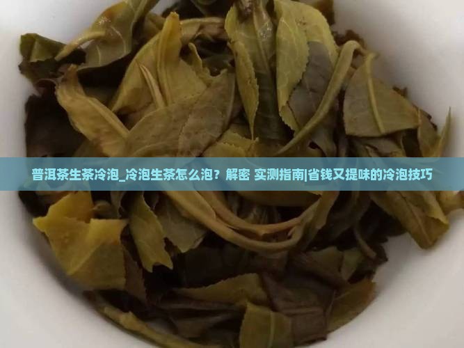 普洱茶生茶冷泡