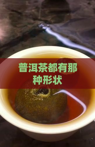 普洱茶都有那种形状
