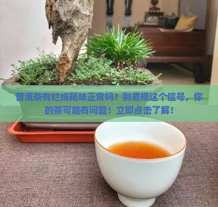 普洱茶有烂纸箱味正常吗