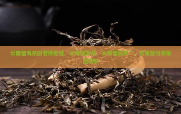 云南普洱茶的老板是谁