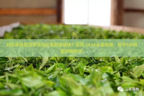 胖东来熟普洱茶饼泡出来怎么样