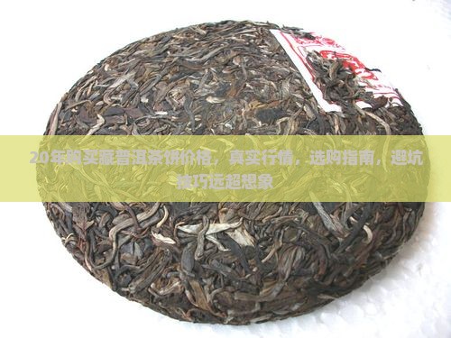 20年购买藏普洱茶饼价格