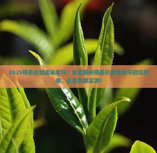 喝茶会容易老吗