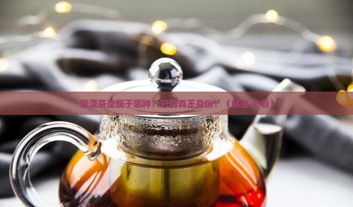普洱茶是属于哪种