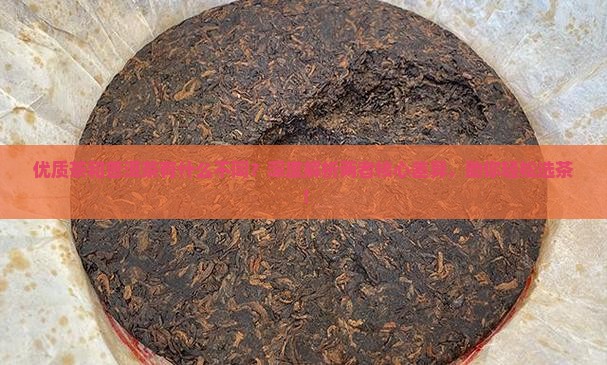 优质茶和普洱茶有什么不同