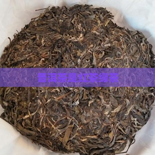 普洱茶是红茶绿茶