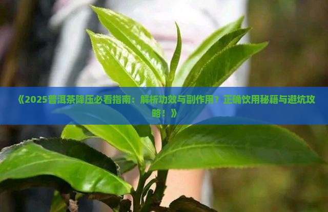 普洱茶对降压有影响吗