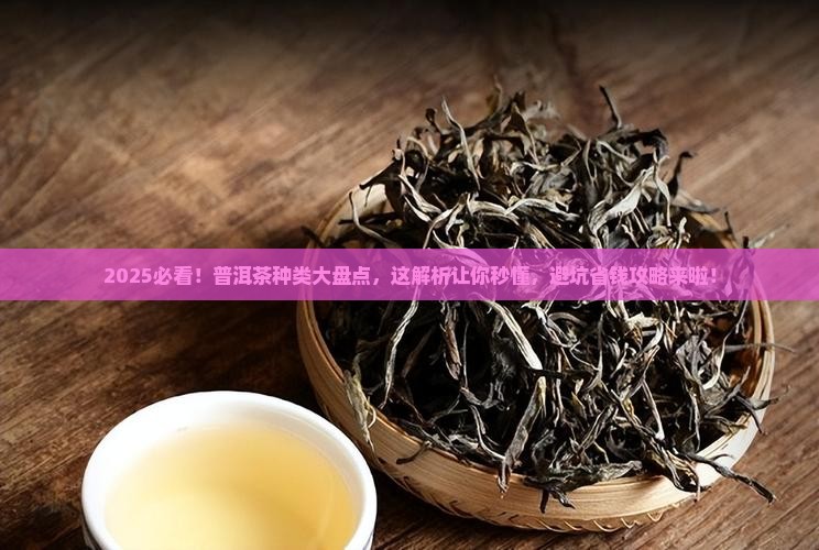 公发普洱茶的种类