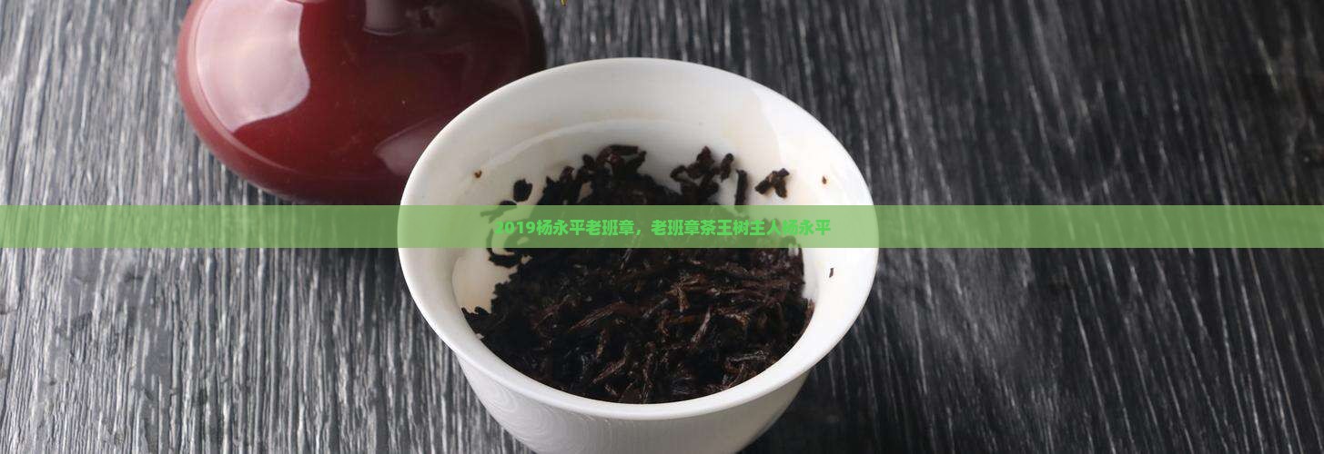 2019杨永平老班章 2019杨永平老班章