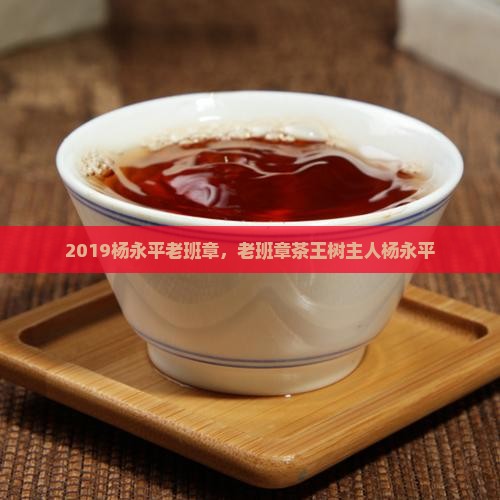 2019杨永平老班章 2019杨永平老班章
