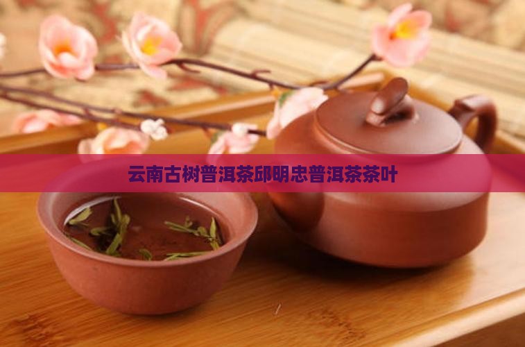 云南普洱茶邱明忠