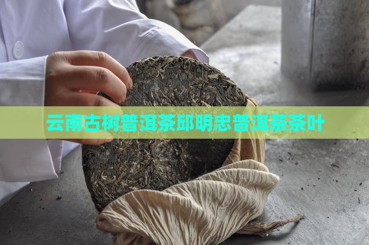 云南普洱茶邱明忠