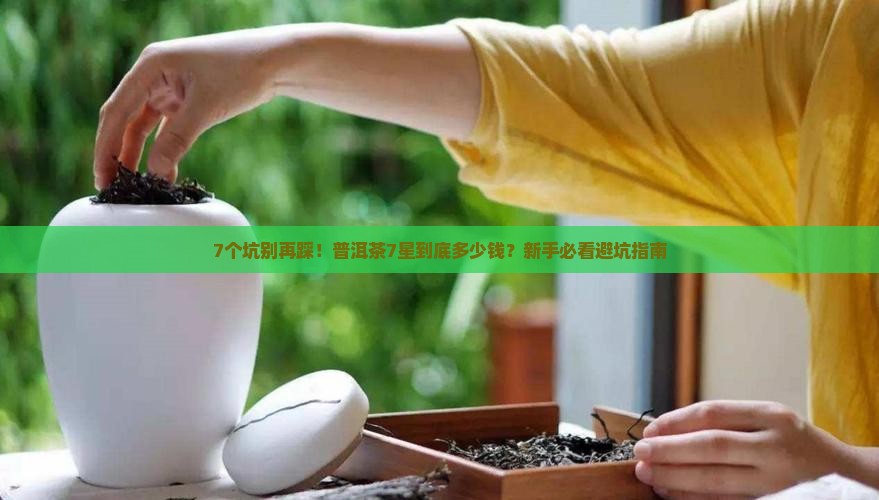 普洱茶7星带价格