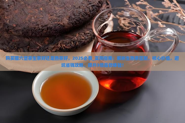 购买藏六堡茶生茶好还是熟茶好