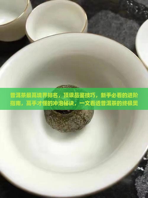 普洱茶最高境界排名