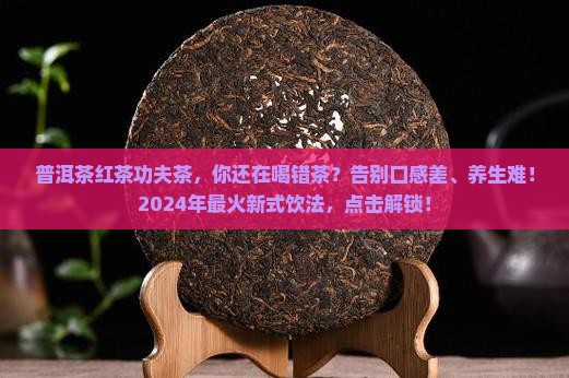 普洱茶红茶功夫茶