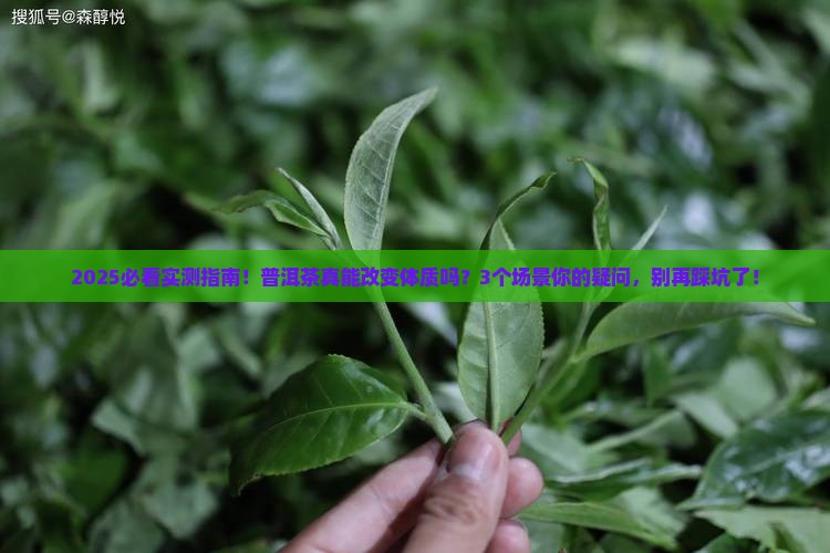 普洱茶可以改变体质吗