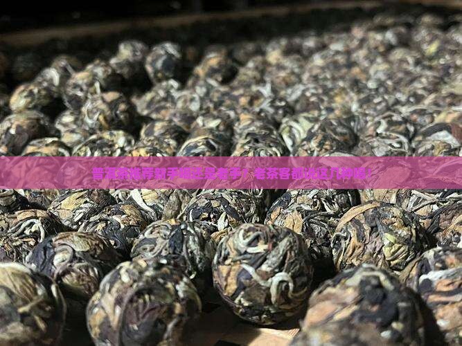 普洱茶推荐新手喝还是老手