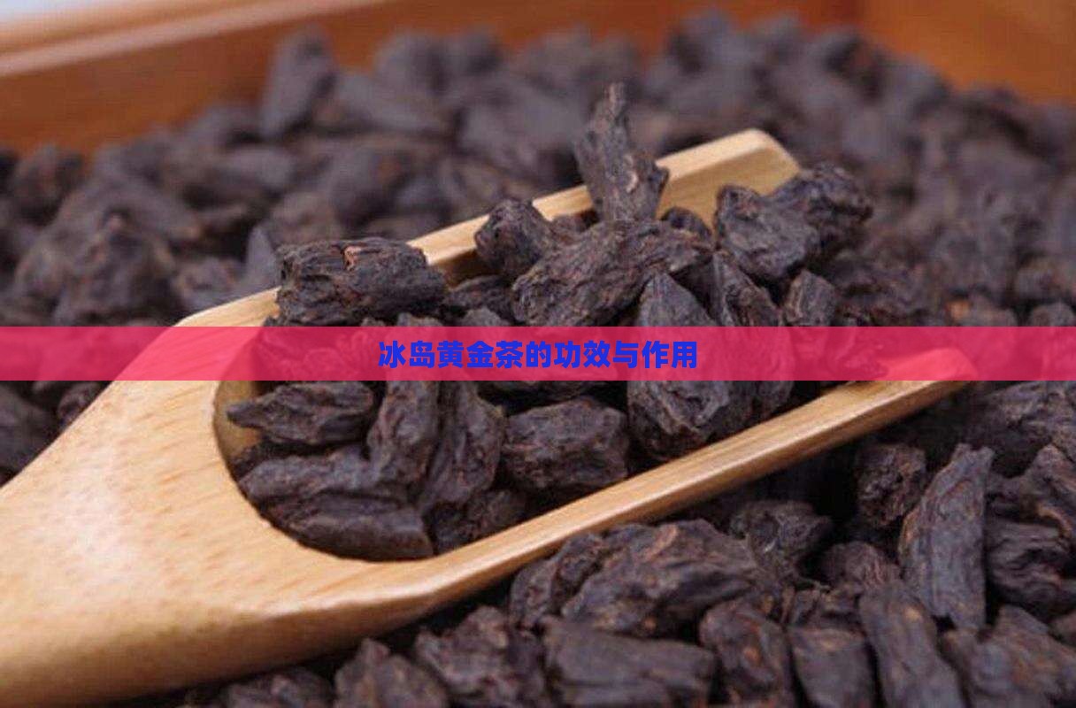 冰岛黄金茶的功效与作用