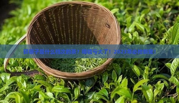 碎银子是什么档次的茶