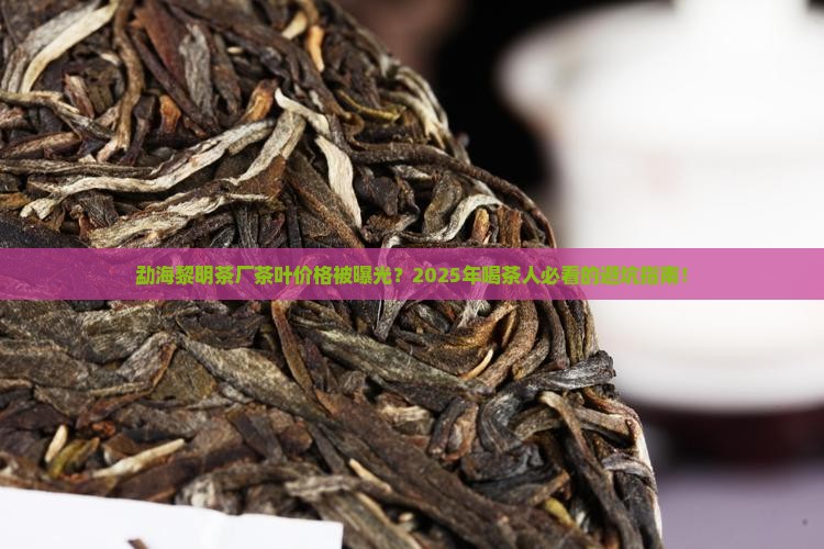 勐海黎明茶厂茶叶价格