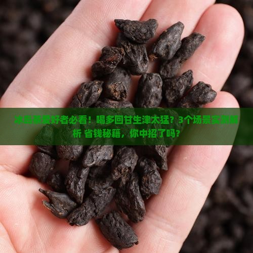 冰岛茶喝多了回甘生津猛烈