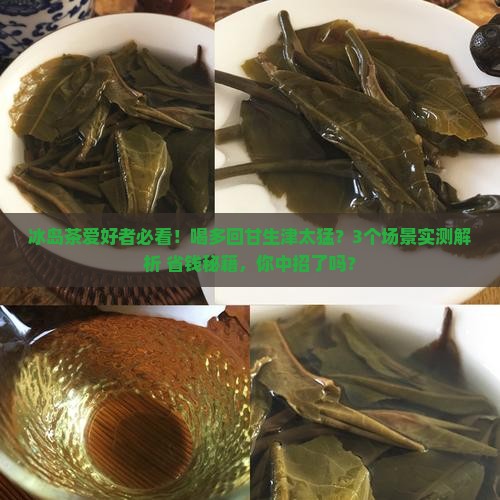 冰岛茶喝多了回甘生津猛烈